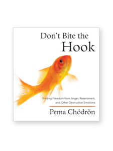 image of book don't bite the hook by pema chodron